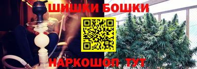 крисы Гусев