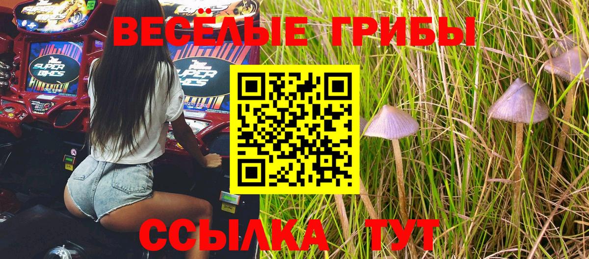 Псилоцибиновые грибы Magic Shrooms  Вход с VPN  Канск  Галлюциногенные грибы ЛСД 